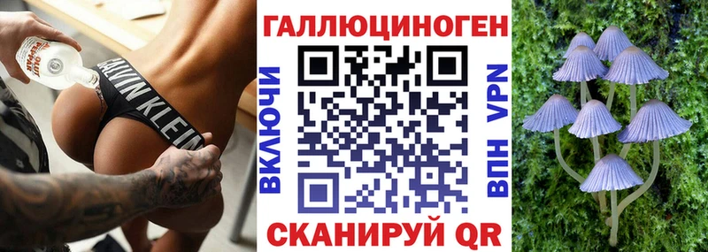 Галлюциногенные грибы мицелий  Шумиха 